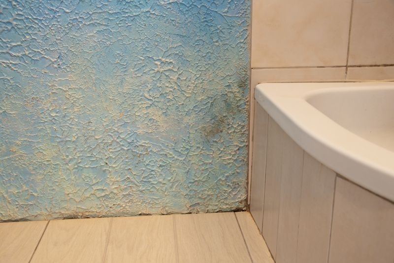 Bathroom Water Damage Repair in Santa Rosa, CA